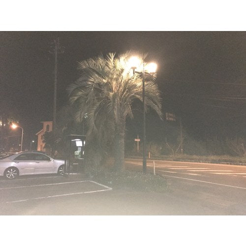 ELI Lamp BU−50W−E26−N−WT 屋外用