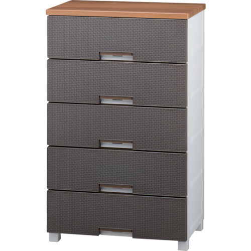 TENMA フィッツプラス メッシュ FM6505 5段 ブラウン 幅65cm