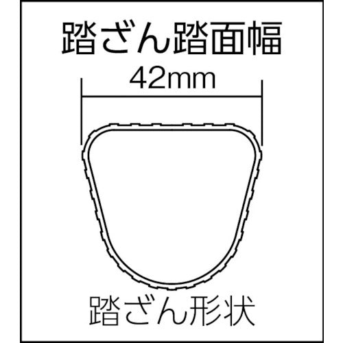 PiCa 2連はしごスーパージョブ2JOB型 6.0m
