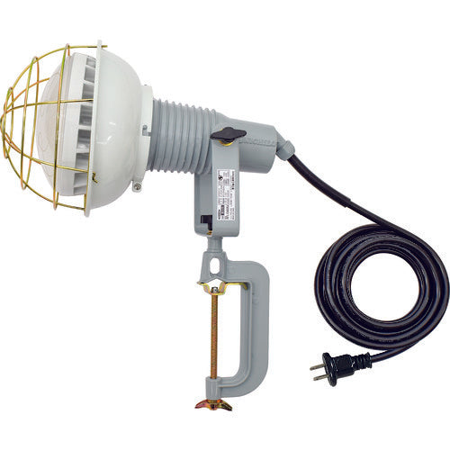 NICHIDO エコビックLED投光器40W 昼白色 2P 5M