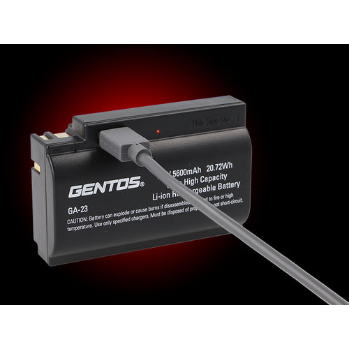 GENTOS Gシリーズ ハイブリッド式LEDヘッドライト 203RG