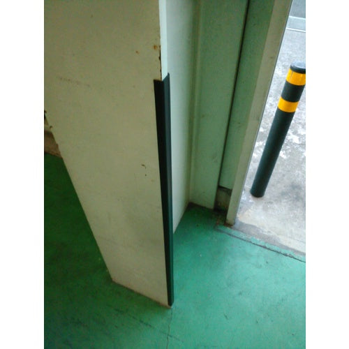 大研 ゲートプロテクターM2mブラック