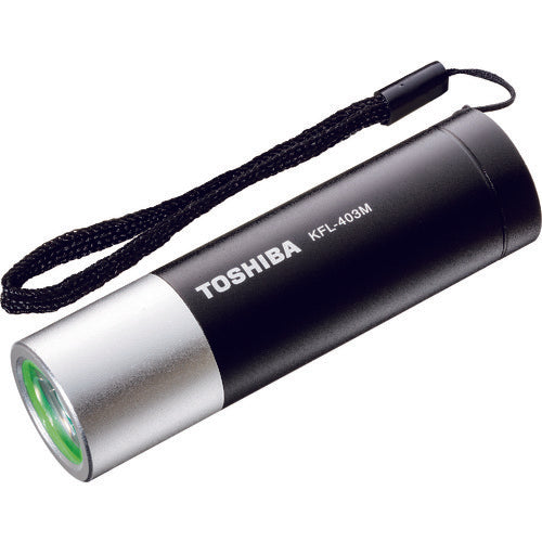 東芝 LEDミニライト