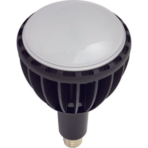 NICHIDO LED交換球 エコビック100W E39 昼白色 ワイド