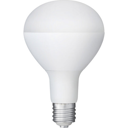 IRIS 107945 PROLEDS LED電球 投光器用 3000lm
