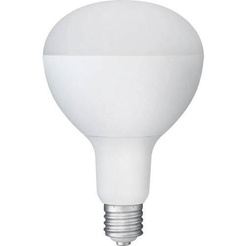 IRIS 107946 PROLEDS LED電球 投光器用 5500lm