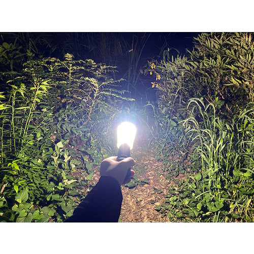 ライティンゲイル LEDミニランタンBonfire+2600mAh充電池