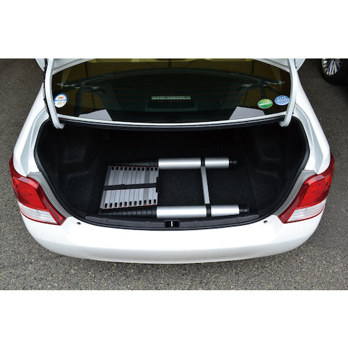 PiCa 伸縮はしご