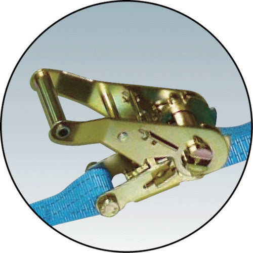 TESAC ラッシングベルト(ベルト荷締機)ラチェットバックル式(エンドレスタイプ)