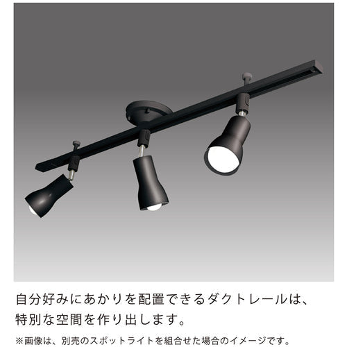 HotaluX ライティングダクトレール 鋼板本体(黒色) レール長1090mm SD−1102L6A−K