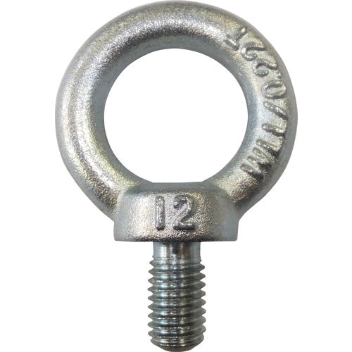 タケネ アイボルト(鉄製)