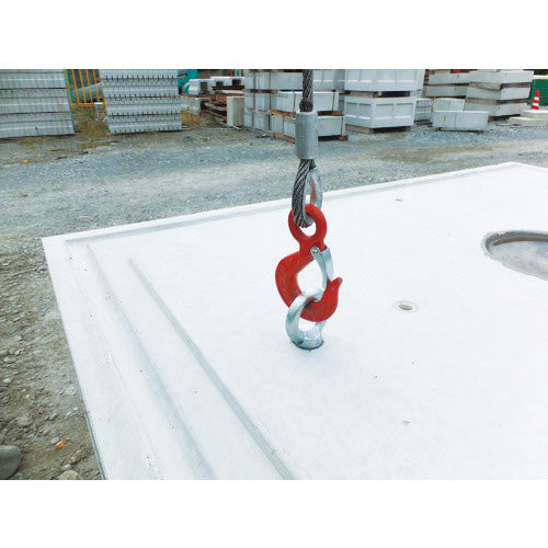 タケネ アイボルト(鉄製)