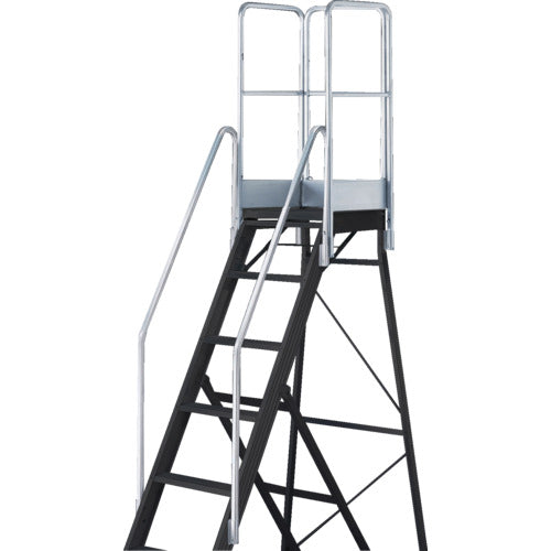 TRUSCO 踏み台TDAD用フルセット手すり 高さ1100mm 本体高さ2.10m用