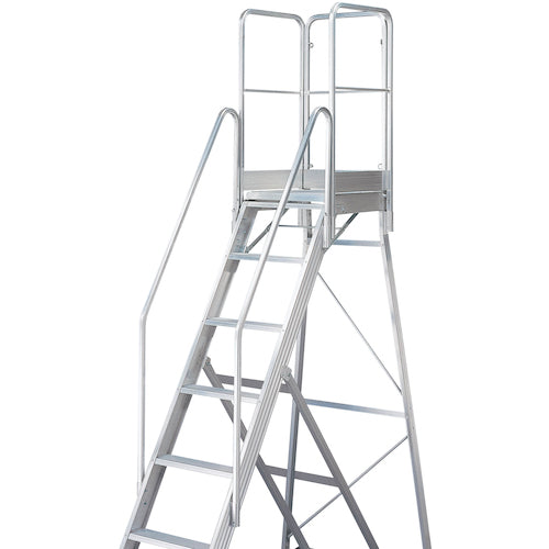 TRUSCO 踏み台TDAD用フルセット手すり 高さ900mm 本体高さ2.10m用