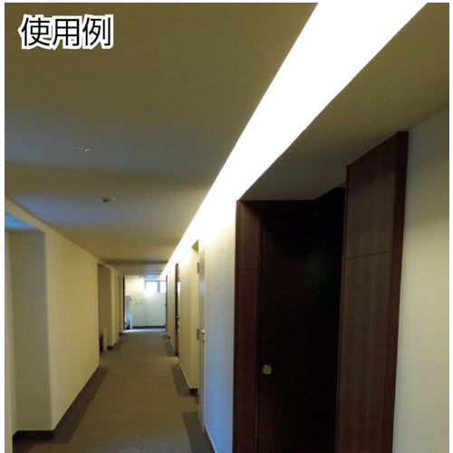 tlight LEDシームレス照明用 延長コードL200