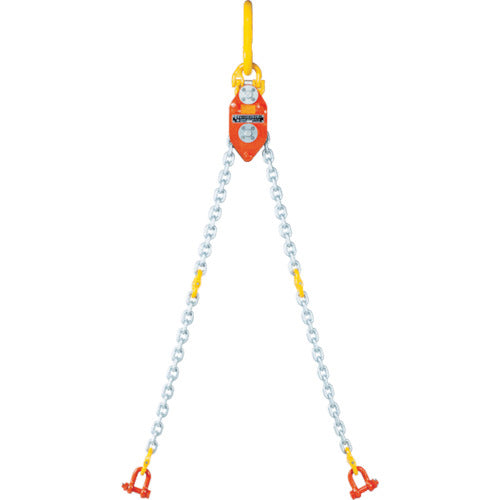 象印 チェーンエコライザー