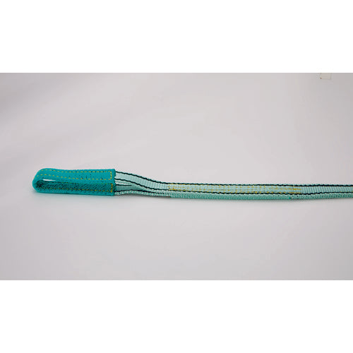 TRUSCO 強力ポリエステルスリング【JIS4等級】両端アイ形 25mm