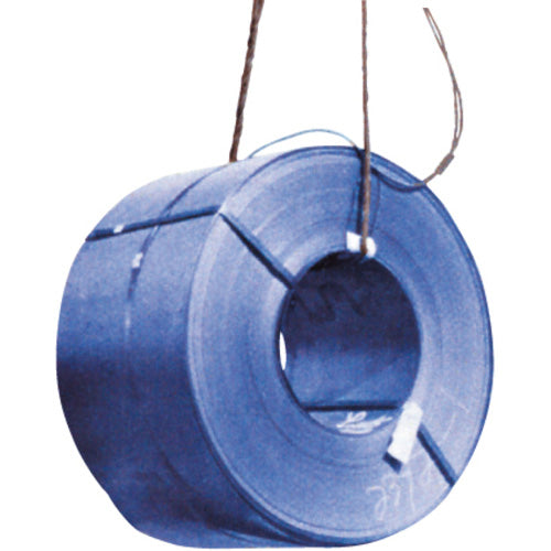 大洋 ワイヤプロテクター TC型(1049051)