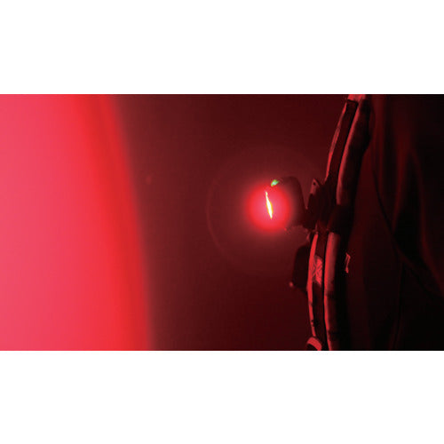 ZEXUS LED ヘッドライト ZX−R30