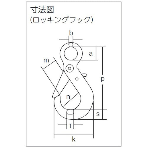 象印 チェーンスリング100(アイタイプ)ロッキングフックタイプ【2本吊り】