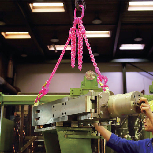 RUD パワーポイントスター コブラフックセット PP-S