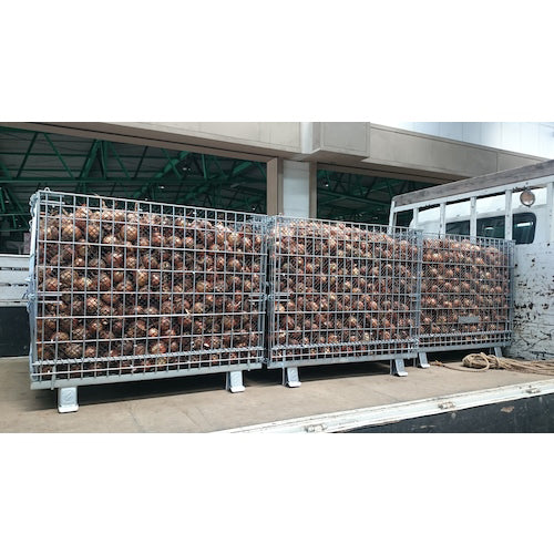 サンキン パレット ニューマルチタイプ 1200×1000×900mm 1250kg