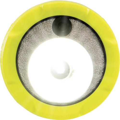 ＰＥＬＩＣＡＮ　ＬＥＤライト　３３４５