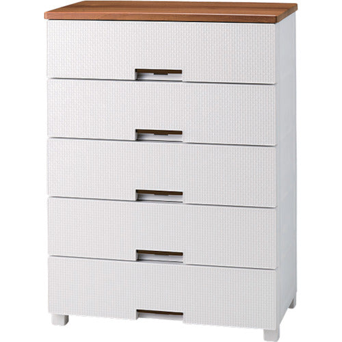 ＴＥＮＭＡ　フィッツプラス　メッシュ　ＦＭ７５０５　５段　ホワイト　幅７５ｃｍ