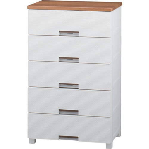 ＴＥＮＭＡ　フィッツプラス　メッシュ　ＦＭ６５０５　５段　ホワイト　幅６５ｃｍ