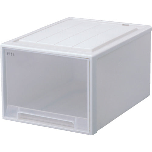 ＴＥＮＭＡ　フィッツケース　５３−３９Ｌ（旧Ｌ５３）　ホワイトクリア