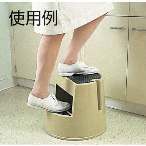 ＥＲＥＣＴＡ　ステップスツール