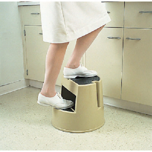 ＥＲＥＣＴＡ　ステップスツール