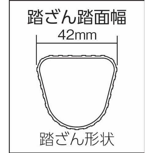 ＰｉＣａ　２連はしごスーパーコスモス２ＣＳＭ型　４．６ｍ