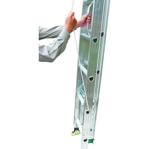 ＰｉＣａ　２連はしごスーパージョブ２ＪＯＢ型　５．３ｍ