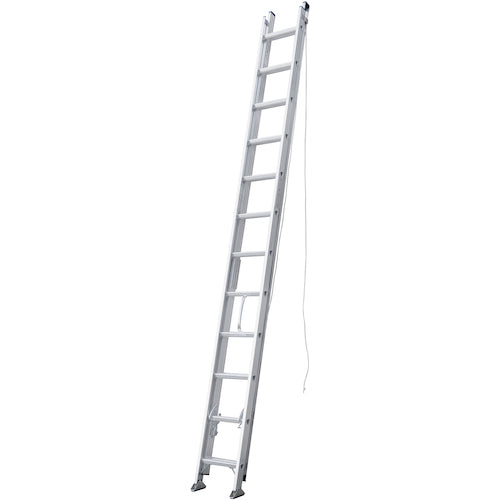 ＰｉＣａ　連結式２連はしご　コネクトラダー