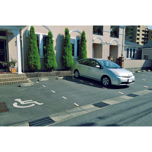 リッチェル　Ｎラインマーカー２０９Ｒ