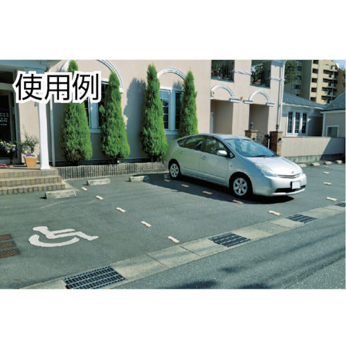 リッチェル　Ｎラインマーカー２０９Ｒ