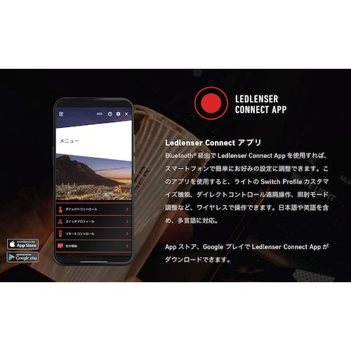 ＬＥＤＬＥＮＳＥＲ　Ｈ１９Ｒ　Ｓｉｇｎａｔｕｒｅ
