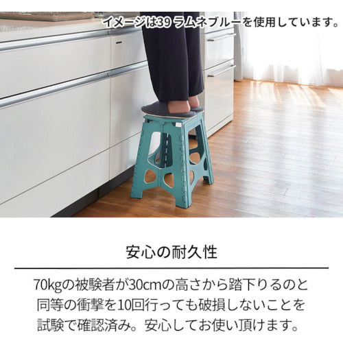 ＴＥＮＭＡ　フォールディングステップ２２　ブラック　２９５×２１０ｍｍ