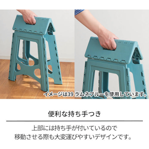 ＴＥＮＭＡ　フォールディングステップ２２　ブラック　２９５×２１０ｍｍ