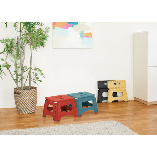 ＴＥＮＭＡ　フォールディングステップ２２　ブラック　２９５×２１０ｍｍ