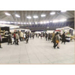 ＮＳＰ　ＮＳＰ樹脂ステップ（グレー）（１枚）