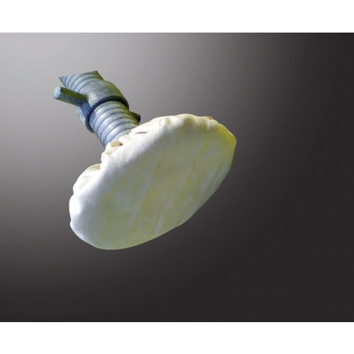 アラオ　ジャッキソックス　