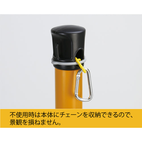 Ｒｅｅｌｅｘ　プラチェーン内蔵ポール　バリネオＰｒｏ