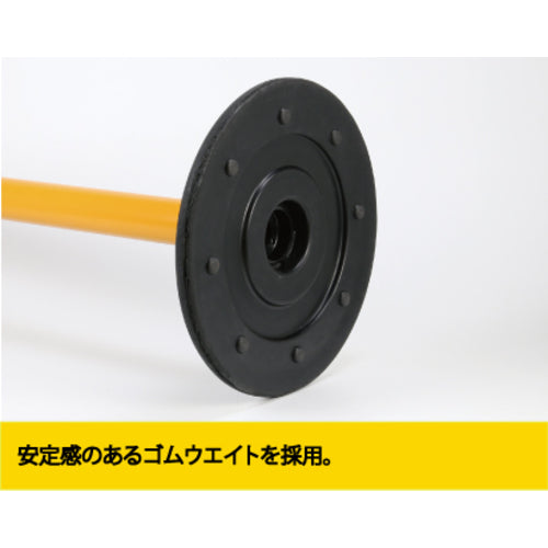 Ｒｅｅｌｅｘ　プラチェーン内蔵ポール　バリネオＰｒｏ