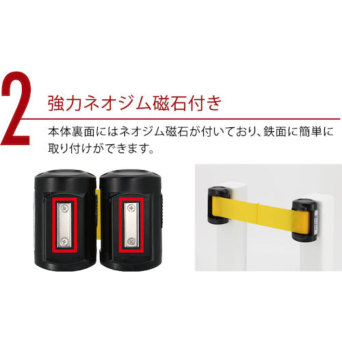 Ｒｅｅｌｅｘ　Ｗバリアリールｍｉｎｉ
