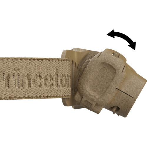 ＰＲＩＮＣＥＴＯＮ　ＢＹＴＥ　ＴＡＮ
