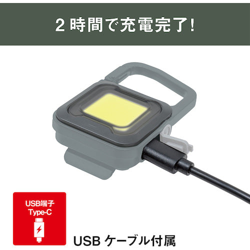 ｍｕｓａｓｈｉ　充電式スーパーフラッシュライト６Ｗグレイッシュブルー