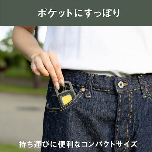ｍｕｓａｓｈｉ　充電式スーパーフラッシュライト６Ｗグレイッシュブルー