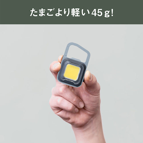 ｍｕｓａｓｈｉ　充電式スーパーフラッシュライト６Ｗグレイッシュブルー